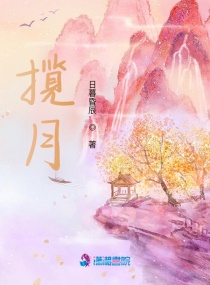 揽月章节列表