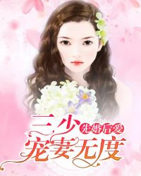 先婚后爱：三少宠妻无度章节列表