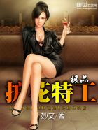 极品护花特工章节列表