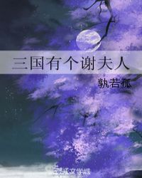 三国有个谢夫人章节列表