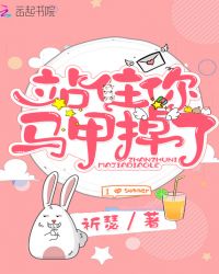 站住你马甲掉了章节列表