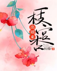 一枝宫杏出墙来章节列表