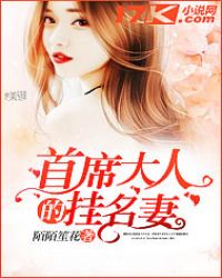 首席大人的挂名妻章节列表