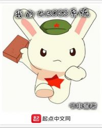 我的大BOSS系统章节列表