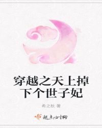 穿越之天上掉下个世子妃章节列表