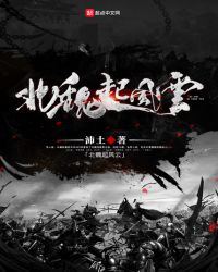 北魏起风云章节列表