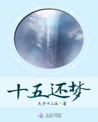 十五还梦章节列表