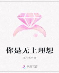 你是无上理想章节列表