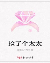 捡了个太太章节列表