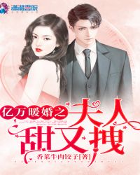 亿万暖婚之夫人甜又拽章节列表