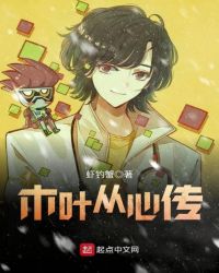 木叶从心传章节列表