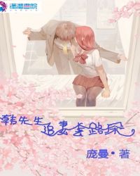 韩先生追妻套路深章节列表