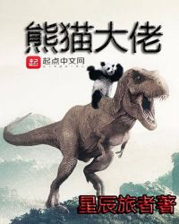 熊猫大佬章节列表