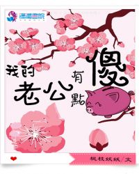 我的老公有点傻章节列表