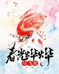 春光烨烨尽飞鸢章节列表