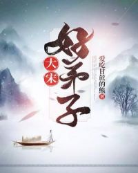 大宋好弟子章节列表