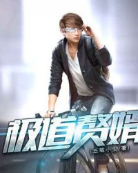 极道赘婿章节列表