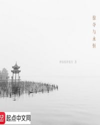 掠夺与永恒章节列表