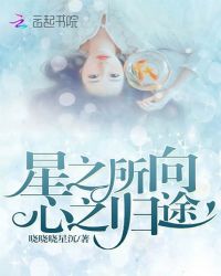 星之所向心之归途章节列表