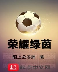 荣耀绿茵章节列表