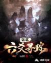 盗墓：六爻寻踪章节列表