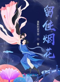 留住烟花章节列表