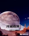 冷湖收到！章节列表