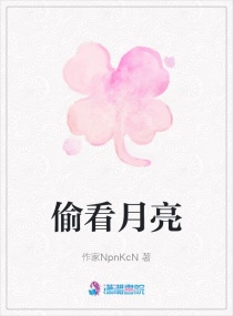 偷看月亮章节列表