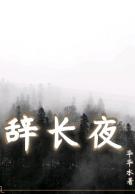 辞长夜章节列表