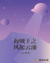 海贼王之风起云涌章节列表