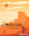 特区公民章节列表