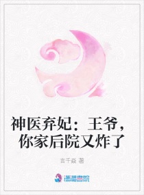 神医弃妃：王爷，你家后院又炸了章节列表