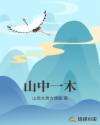 山中一木章节列表