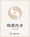 岐黄丹圣章节列表