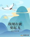 我现在就要起飞章节列表