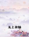 无上杂脉章节列表
