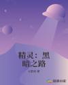 精灵：黑暗之路章节列表