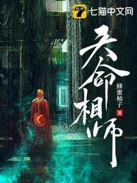 天命相师章节列表