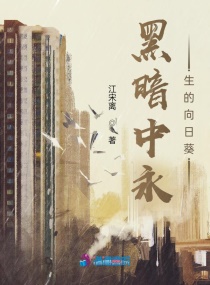 黑暗中永生的向日葵章节列表