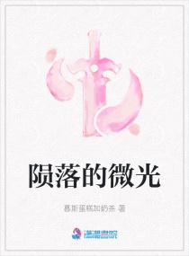 陨落的微光章节列表