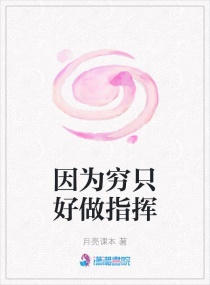 因为穷只好做指挥章节列表