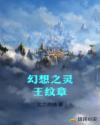 幻想之灵王纹章章节列表