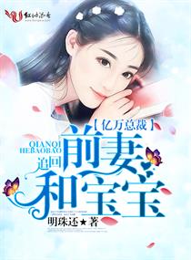 追回前妻和宝宝章节列表