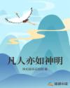 凡人亦如神明章节列表