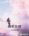 杨家女婿章节列表