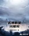 武林群星闪耀时章节列表