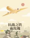 抗战之铁血玫瑰章节列表