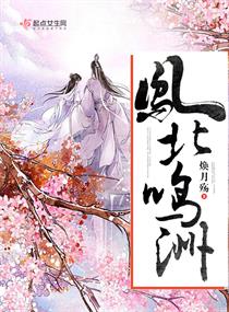 凤鸣北洲章节列表