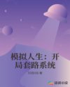 模拟人生：开局套路系统章节列表
