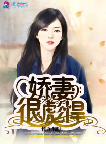 爱妻很彪悍章节列表
